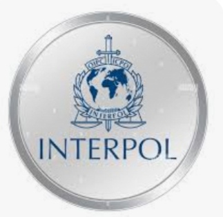 INTERPOL declare 14 Nigerians wanted for human trafficking, robbery, others offenses